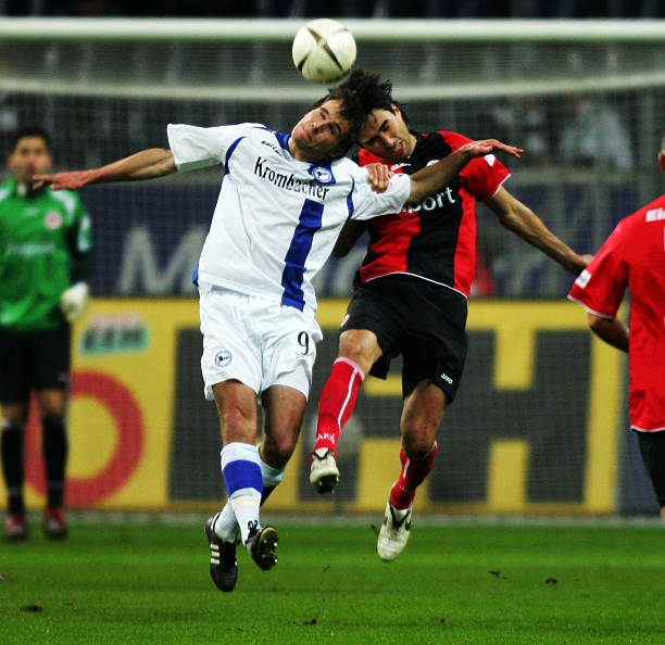 质量的阵容 质量的阵容